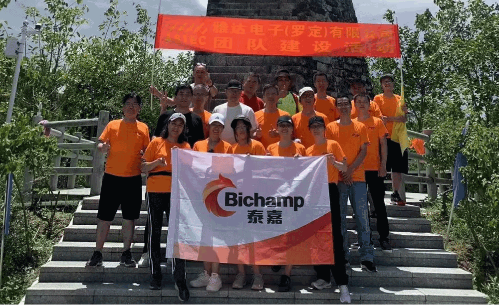 电源事业部战略研讨会聚焦未来三年发展方向(图2) 图片13.png